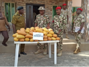 Cannabis worth N4.9mil intercepted by Army