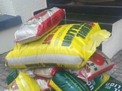 BBF Printing Press Celebrates Customers This Christmas With Rice, Souvenirs, Love Gifts & Massive Discounts!