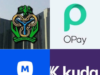 CBN Upgrades OPay, Moniepoint and Others to National Fintech and MFB Status