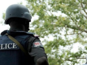 Police Bust Child Trafficking Syndicate in Anambra, Rescue Victims and Arrest Suspects