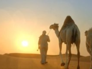 Saudi Arabia to Introduce Passports for Camels