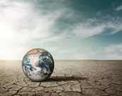 El Niño: How Nigeria Could Be Affected and the Steps Citizens Should Take to Prepare